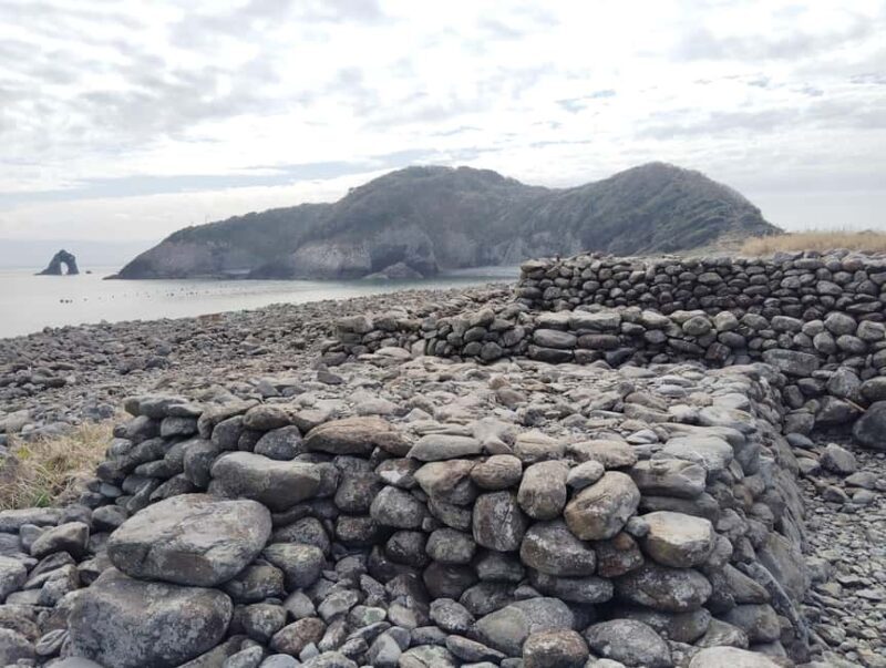 Fukuoka: Cats Island, Ainoshima Guided Tour from Hakata - What Reviewers Say