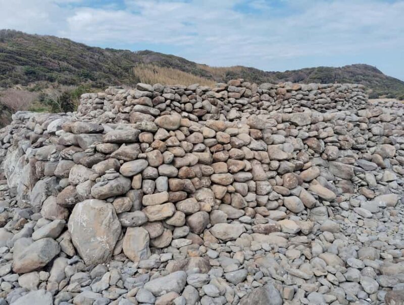 Fukuoka: Cats Island, Ainoshima Guided Tour from Hakata - FAQs