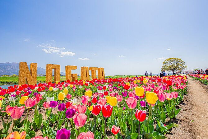 fukuoka-cherry-blossom-and-tulip-tour-with-boat-ride-yokabus