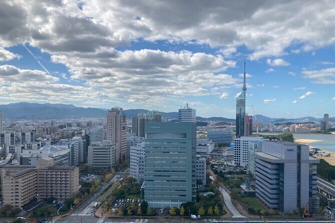 Fukuoka City Walking and Public Transport Tour - An In-Depth Look at the Fukuoka City Walking and Public Transport Tour