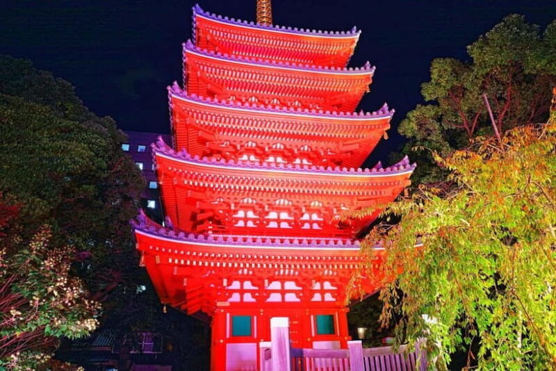 Fukuoka Cultural Walk: Castle, Shrines, Temples & Tales - Exploring Fukuoka Through a Local Lens