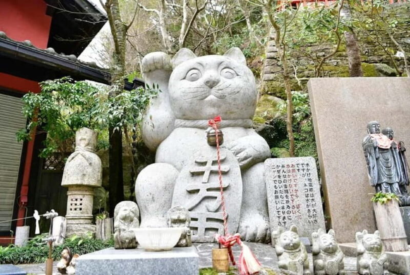 Fukuoka Cultural Walk: Castle, Shrines, Temples & Tales - Why This Tour Works Well