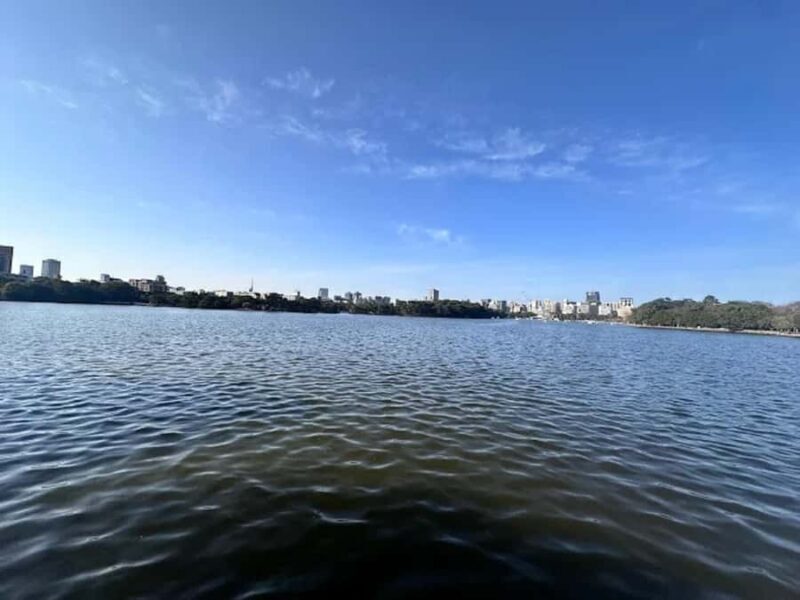 Fukuoka: Dazaifu Shrine, Ohori Park, and Castle Tour - Who Is This Tour Perfect For?