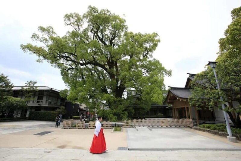 Fukuoka: Dazaifu Tenmangu 2-hour Guided Tour - Practical Tips for Participants