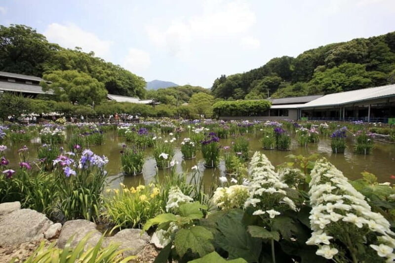 Fukuoka: Dazaifu Tenmangu 2-hour Guided Tour - Frequently Asked Questions