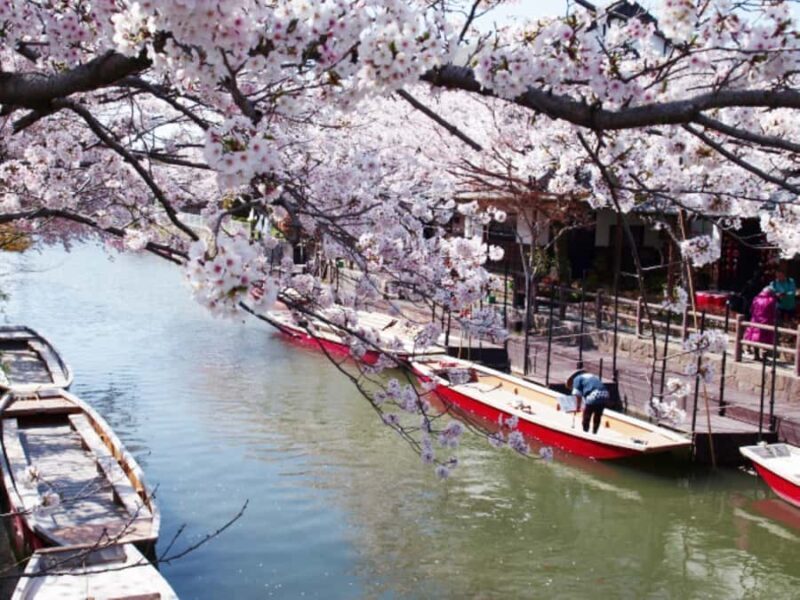 Fukuoka: Dazaifu, Yanagawa River Cruise & Strawberry Picking - FAQ