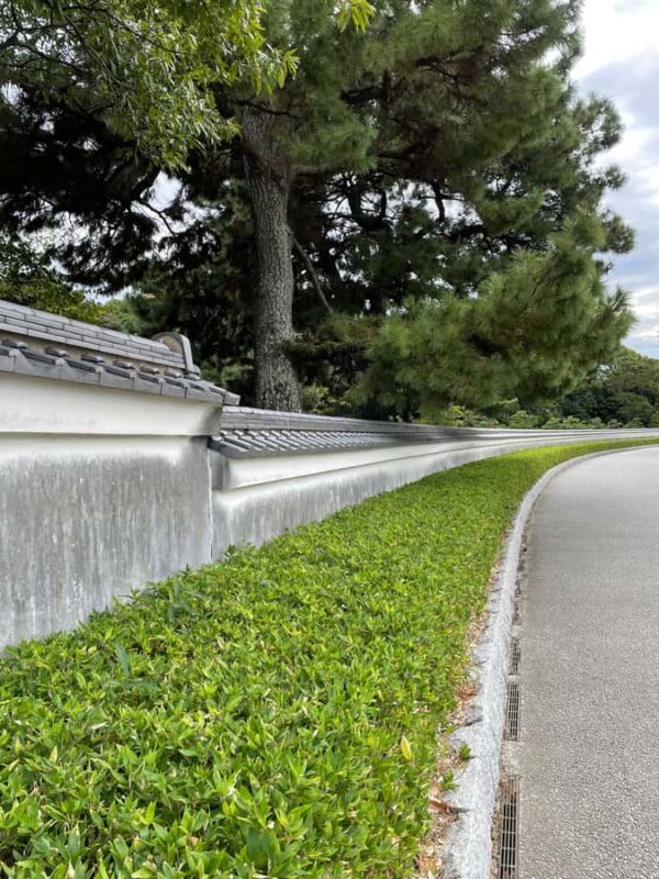 Fukuoka: Good Morning at Ohori Park and Fukuoka Castle Ruins - Key Points