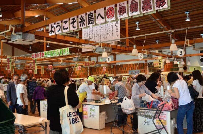 Fukuoka: Guided Walking Tour - Practical Details and What to Expect