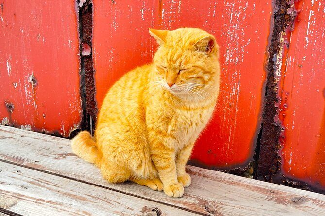 Fukuoka & Hakata Private Tour with Optional Port Pickup - Dazaifu Tenmangu Shrine: Japan’s Learning Shrine