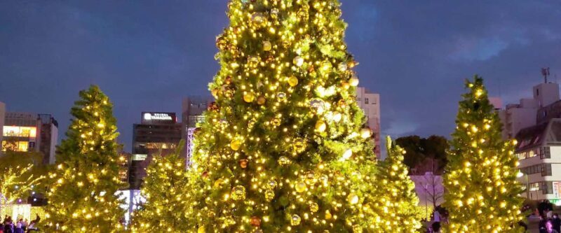 Fukuoka: Hakata & Tenjin Christmas Markets Walking Tour - Logistics and Practical Tips