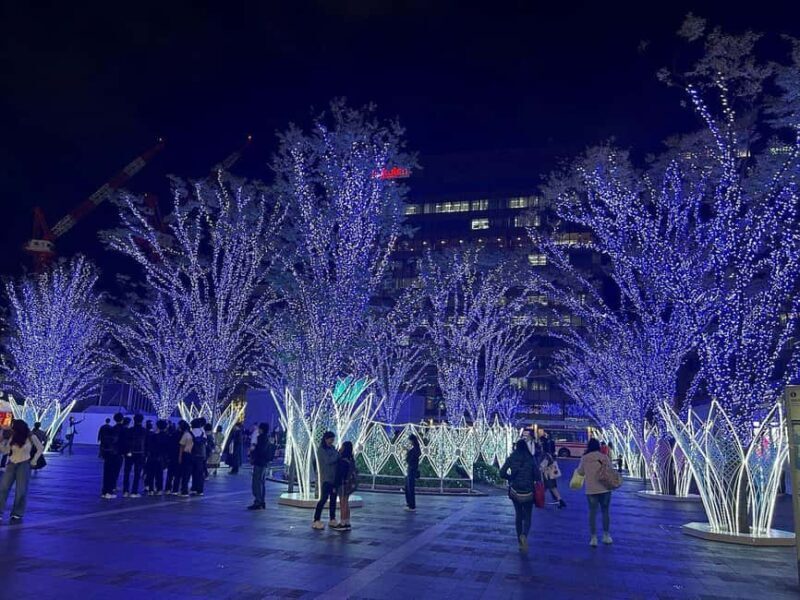 Fukuoka: Hakata & Tenjin Christmas Markets Walking Tour - Why This Tour Stands Out