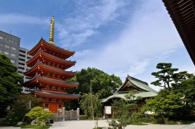 Fukuoka: Hakozaki Shrine, Tocho-ji Temple, & Ohori Park Tour - Who Would Love This Tour?