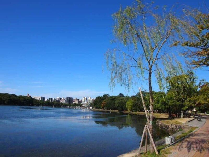 Fukuoka: Hakozaki Shrine, War Monument, & Tower Walk Tour - Final Thoughts