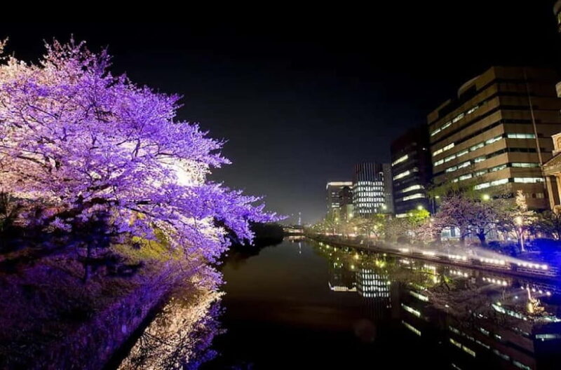 Fukuoka: Hidden History of Zen, Castles & Rebellion Tour - Final Word