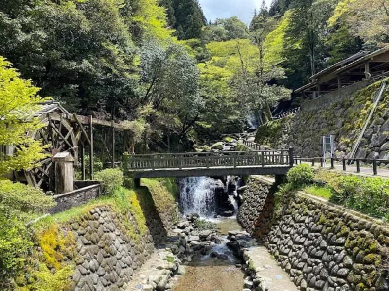 Fukuoka: Itoshima Adventure & Wellness Private Day Trip - The Value of the Experience