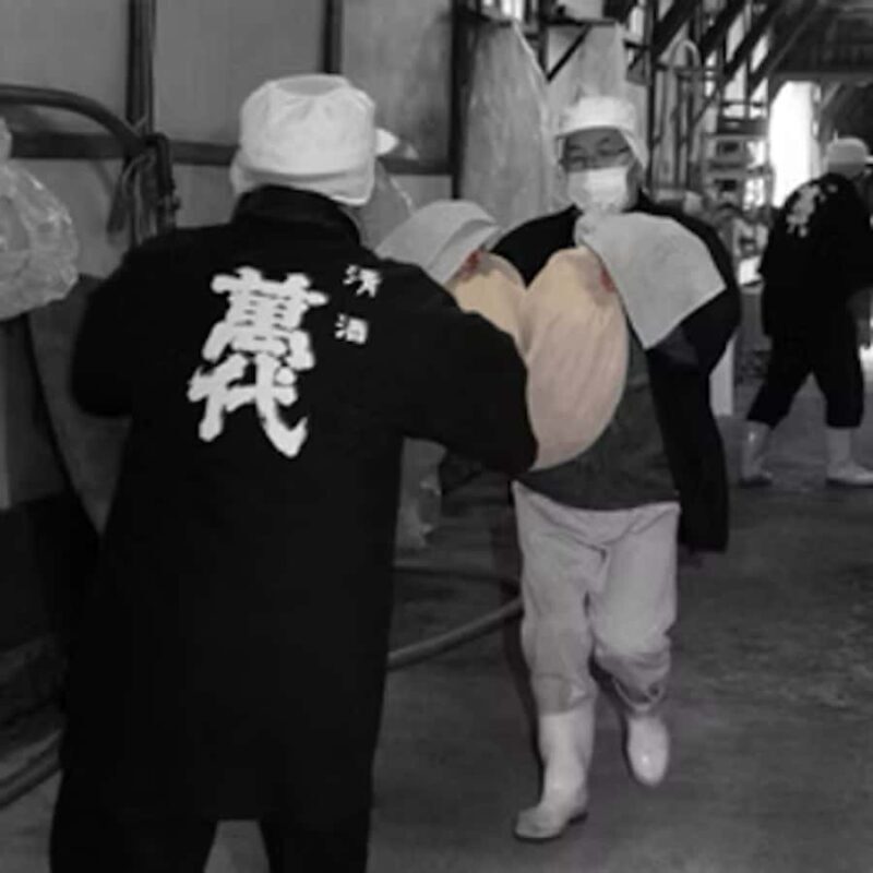 Fukuoka: Kobayashi Shuzo Honten Sake Brewery Tour - An In-Depth Look at the Brewery Tour