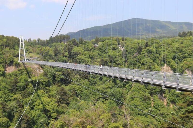 Fukuoka: Kokonoe Sky Bridge & Waterfalls Day Trip - Who Will Enjoy This Tour?