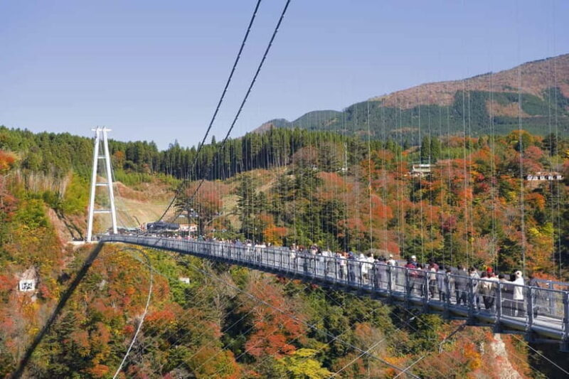 Fukuoka: Kyushu Autumn Yabakei, Kokonoe Yume Brdg. & Dazaifu - An In-Depth Look at the Kyushu Autumn Tour