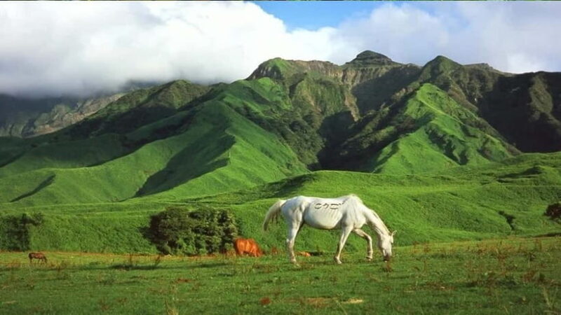 Fukuoka: Mt. Aso Volcano & Kurokawa Onsen Scenic Day Tour - Final Thoughts