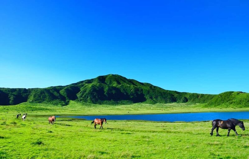 Fukuoka: Mt. Aso Volcano, Kusasenri & Grasslands Day Tour - Who This Tour Suits Best