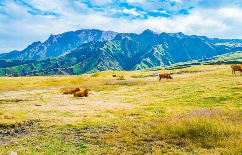 Fukuoka: Mt. Aso Volcano, Kusasenri & Grasslands Day Tour - FAQ