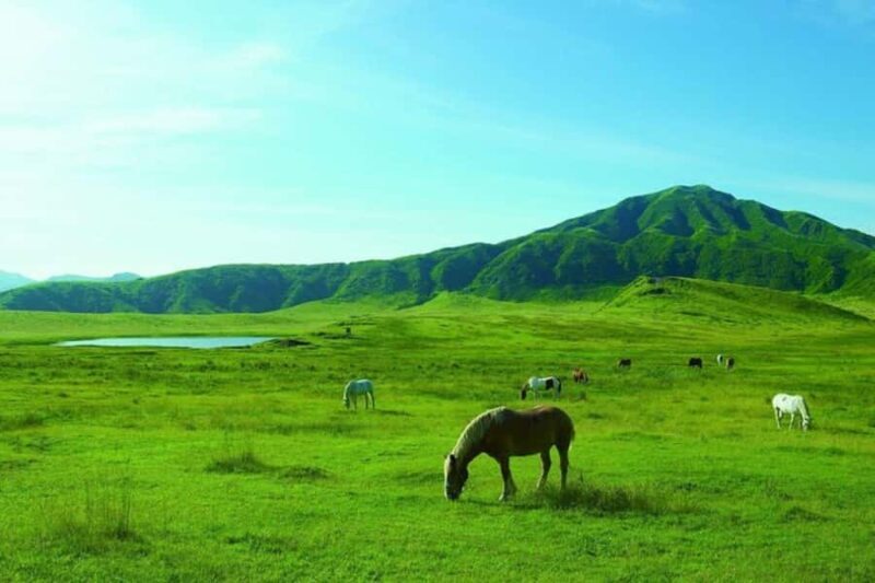 Fukuoka: Mt. Aso Volcano Walk & Kusasenri Horseback Ride - The Sum Up