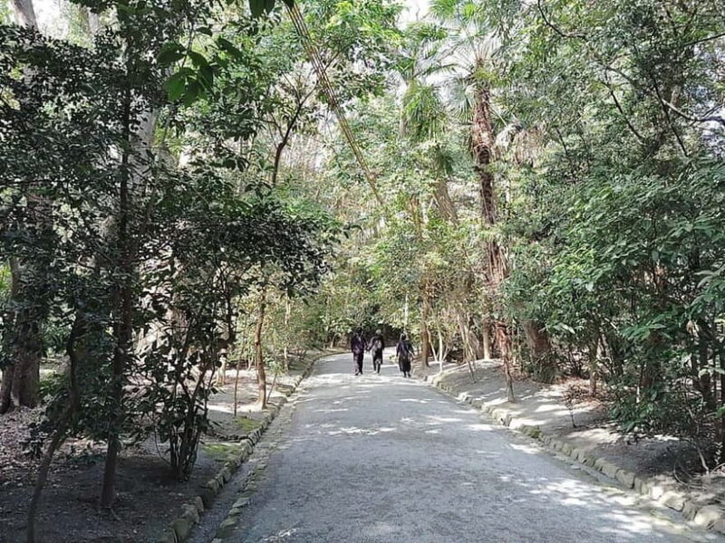 Fukuoka: Munakata Taisha Shrine Guided Tour  UNESCO Site - Final Thoughts