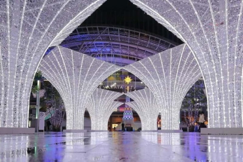 Fukuoka: Nanzoin Temple and Dazaifu Day Trip with Lunch - Lunch and Culinary Delights