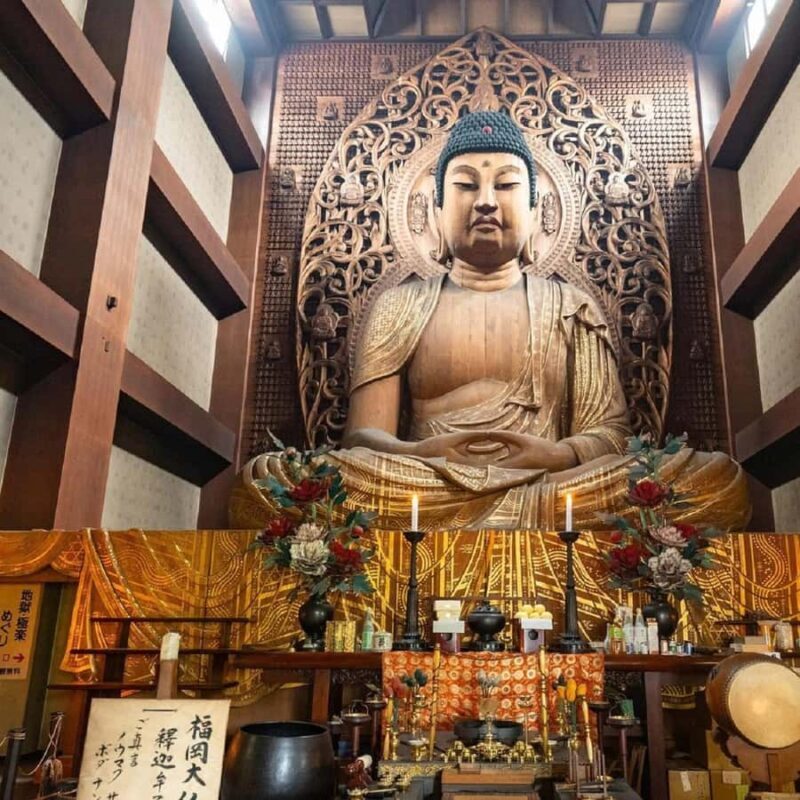 Fukuoka: Nanzoin Temple and Great Buddha Tour - Practical Details and Tips