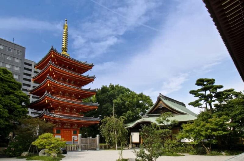 Fukuoka: Nanzoin Temple and Great Buddha Tour - FAQ