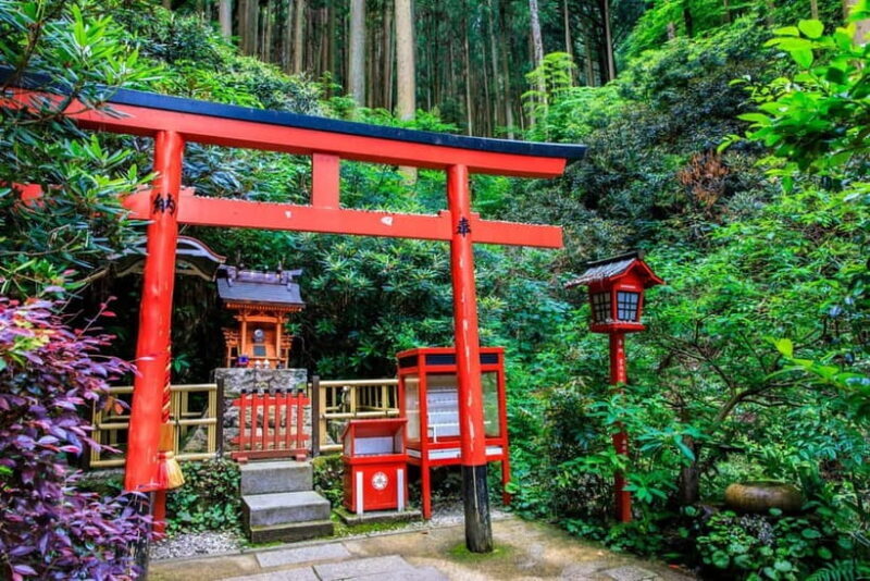 Fukuoka: Nanzoin Temple & Reclining Buddha Guided Tour - Free Time and Personal Exploration