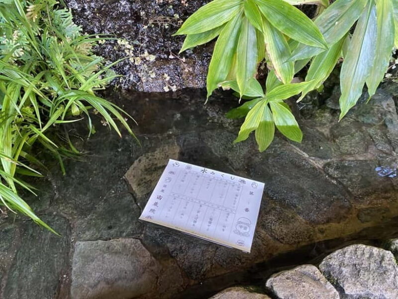 Fukuoka: Nanzoin Temple & Reclining Buddha Guided Tour - The Transportation and Logistics