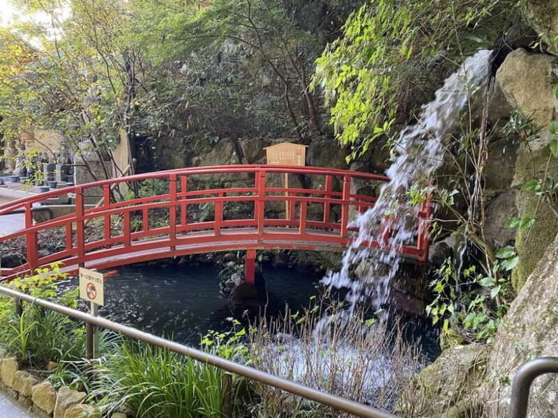 Fukuoka: Nanzoin Temple & Reclining Buddha Guided Tour - Final Thoughts