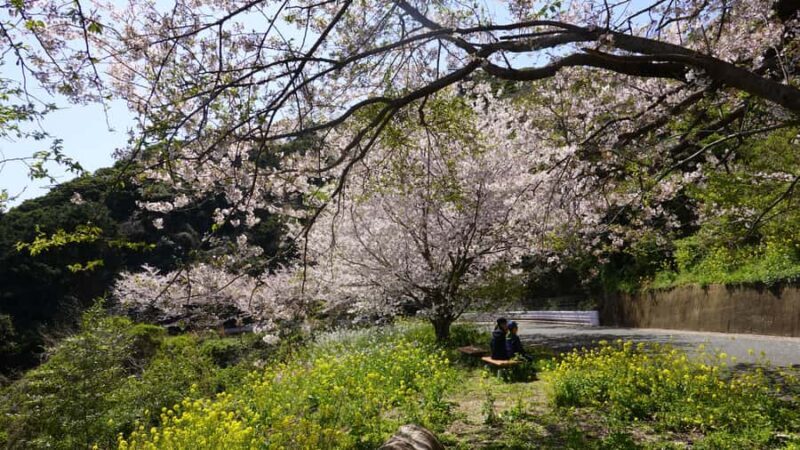 Fukuoka: Nokonoshima Island Guided Walking Tour - The Garden Paradise: Nokonoshima Island Park