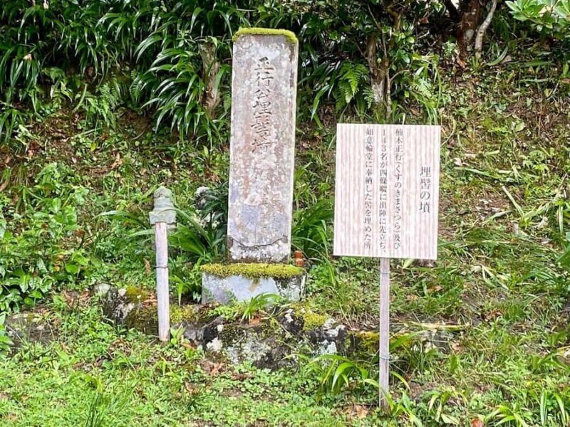 Fukuoka: Nyoirinji Frog Temple & Tea Escape - Key Points