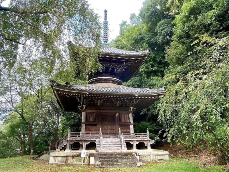 Fukuoka: Nyoirinji Frog Temple & Tea Escape - Exploring the Whimsical Nyoirinji Frog Temple