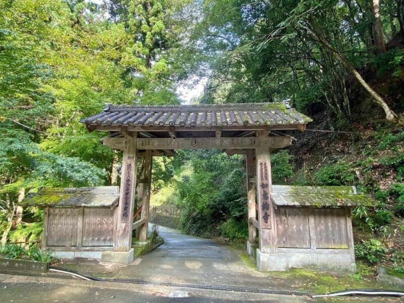 Fukuoka: Nyoirinji Frog Temple & Tea Escape - Authentic Rural Atmosphere and Free Time