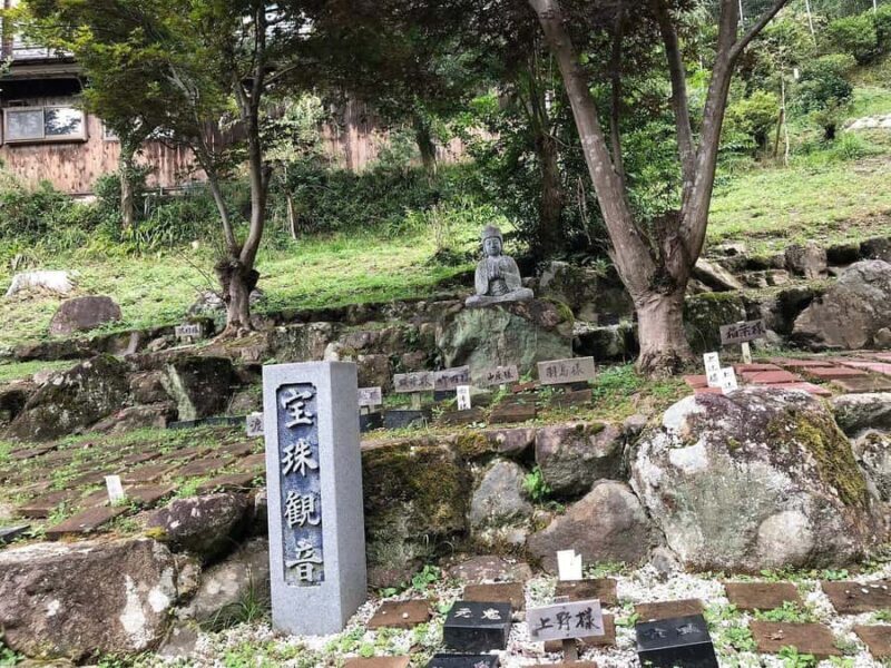 Fukuoka: Nyoirinji Frog Temple & Tea Escape - Final Thoughts
