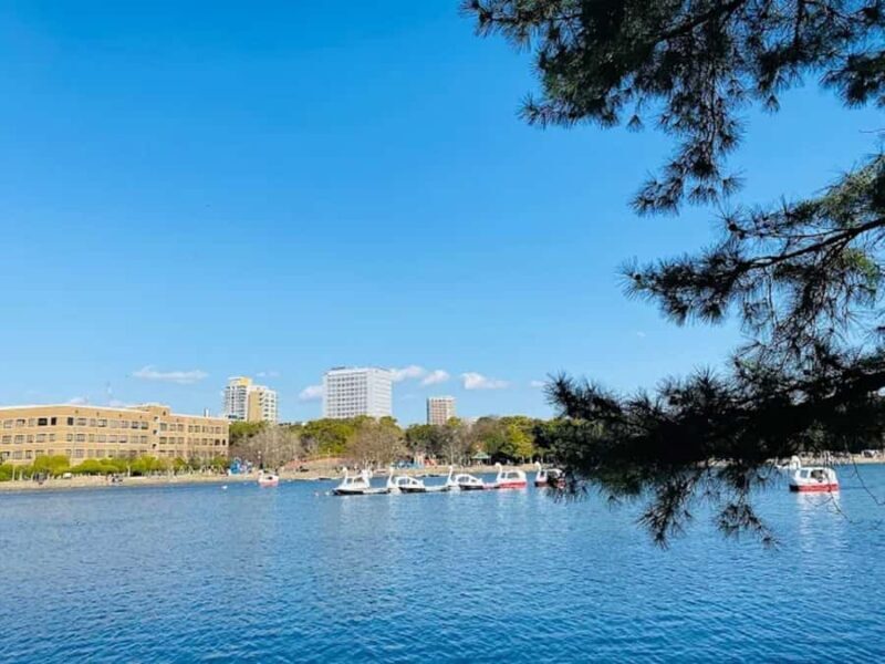 Fukuoka: Ohori Park and Amaguri Onsen Spa Day Tour - Fukuoka: Ohori Park and Amaguri Onsen Spa Day Tour — Authentic Relaxation in Japan’s Kyushu Region