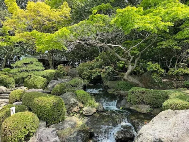 Fukuoka: Ohori Park and Amaguri Onsen Spa Day Tour - Practical Details and Considerations