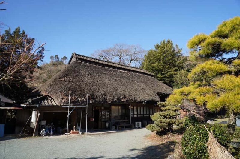 Fukuoka: Private Farm Experience with Lunch - Key Points