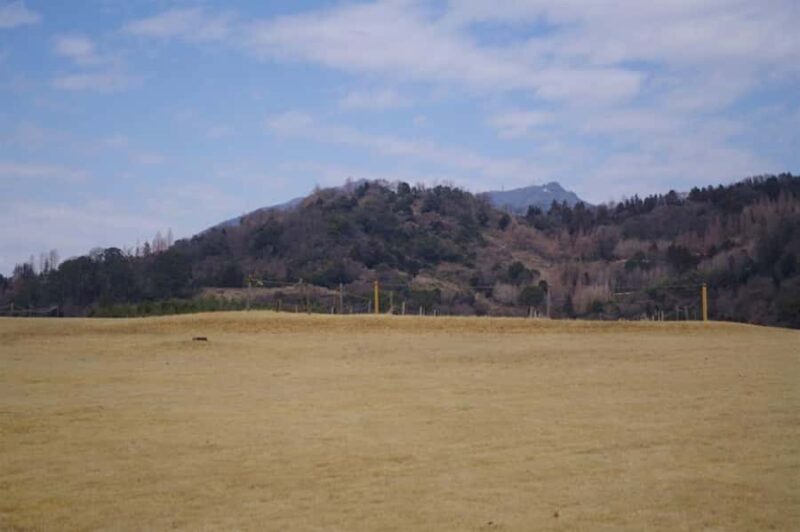 Fukuoka: Private Farm Experience with Lunch - Who Should Consider This Experience?