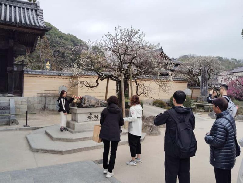 Fukuoka: Round-Trip Dazaifu Shrine Tour from Hakata - Who Will Love This Tour?