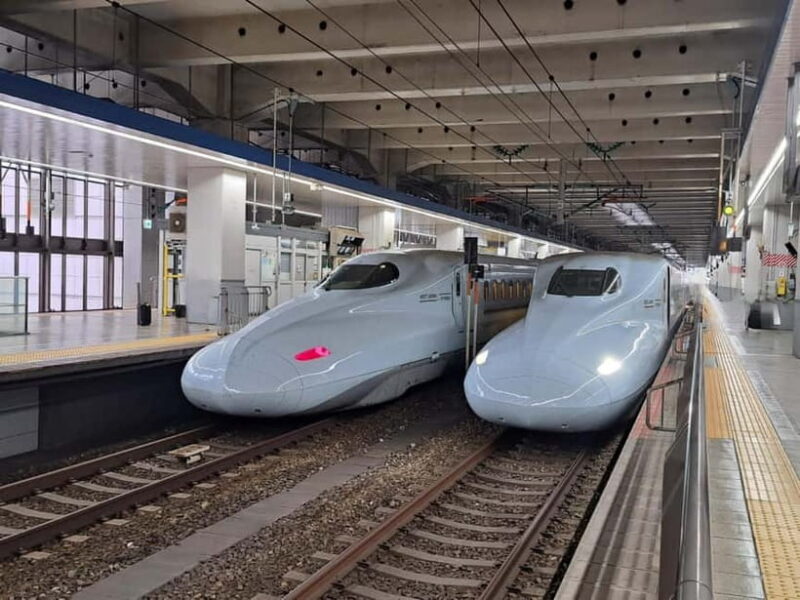 Fukuoka: Round-Trip Shinkansen Tour to Kumamoto Castle - Key Points