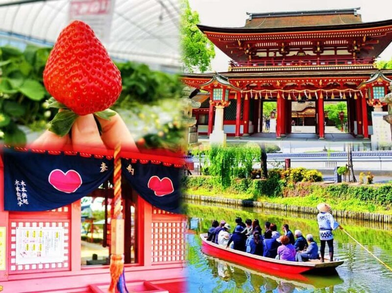 Fukuoka: Strawberry Picking, Koiki Shrine & Yanagawa Tour - What’s the Value?