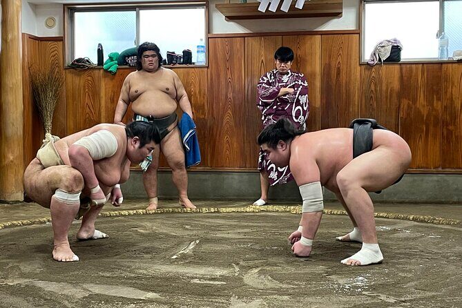 Fukuoka Sumo Morning Practice Watching Tour - Key Points