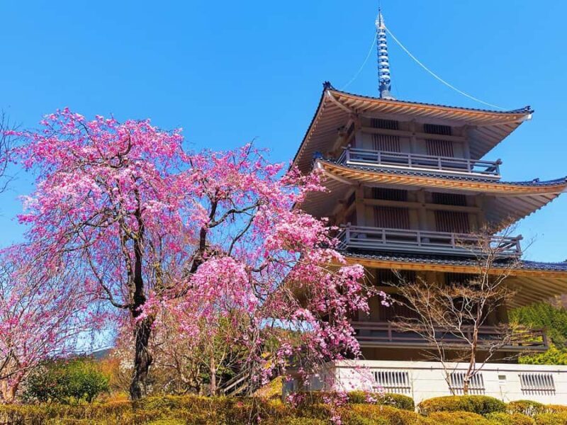 Fukuoka: Takachiho Gorge & Amano-Iwato Shrine Day Trip - A Detailed Look at the Tour Experience