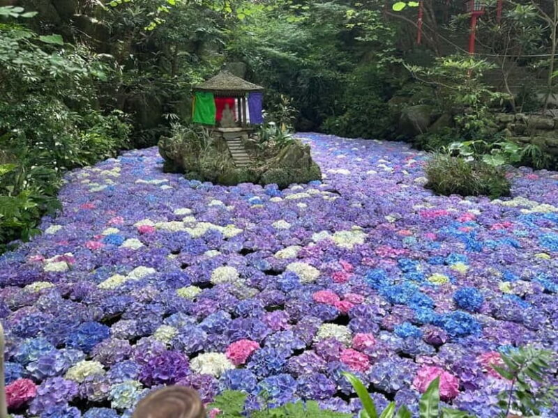 Fukuoka: Takachiho Gorge, Optional Boat Ride & Vintage Train - Practical Details and Tips