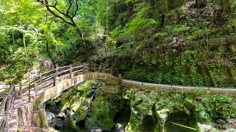 Fukuoka: Takachiho Gorge, Optional Boat Ride & Vintage Train - The Sum Up