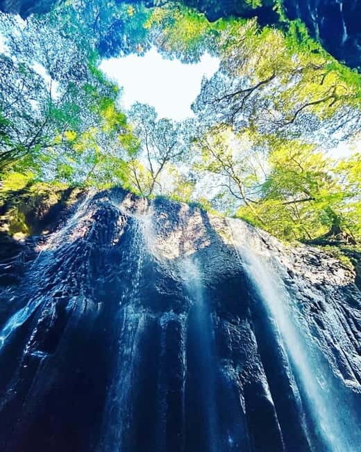 Fukuoka: Takachiho Gorge & Scenic Railway One Day Tour - Key Points